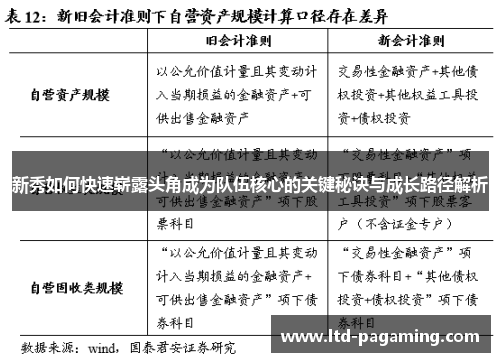 新秀如何快速崭露头角成为队伍核心的关键秘诀与成长路径解析