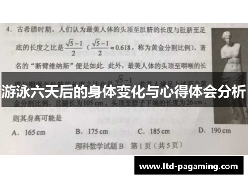 游泳六天后的身体变化与心得体会分析