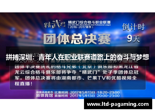 拼搏深圳：青年人在职业联赛道路上的奋斗与梦想