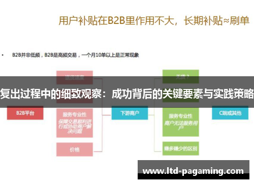 复出过程中的细致观察：成功背后的关键要素与实践策略