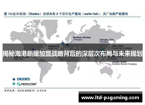 揭秘海港新援加盟战略背后的深层次布局与未来规划