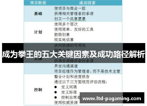 成为拳王的五大关键因素及成功路径解析