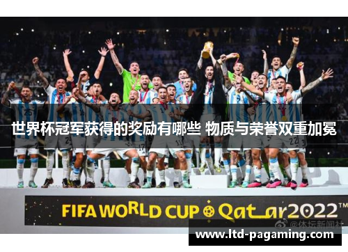 世界杯冠军获得的奖励有哪些 物质与荣誉双重加冕