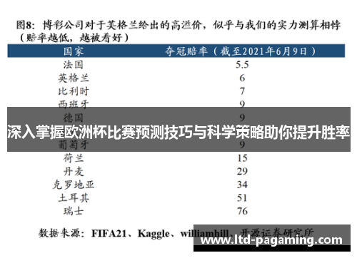 深入掌握欧洲杯比赛预测技巧与科学策略助你提升胜率