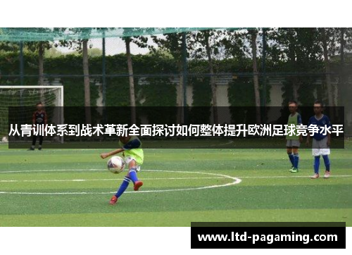 从青训体系到战术革新全面探讨如何整体提升欧洲足球竞争水平