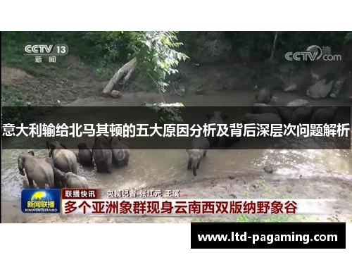 意大利输给北马其顿的五大原因分析及背后深层次问题解析