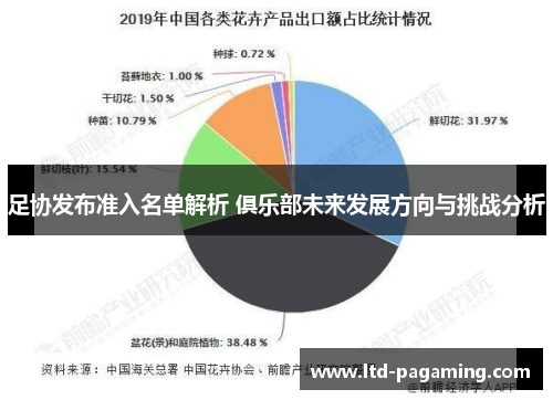 足协发布准入名单解析 俱乐部未来发展方向与挑战分析