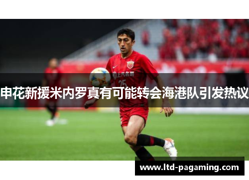 申花新援米内罗真有可能转会海港队引发热议