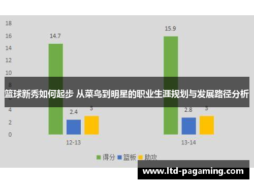 篮球新秀如何起步 从菜鸟到明星的职业生涯规划与发展路径分析