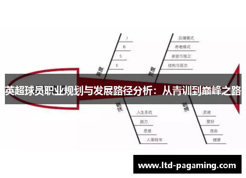 英超球员职业规划与发展路径分析：从青训到巅峰之路