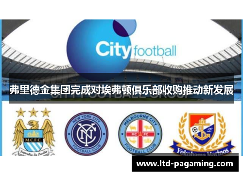 弗里德金集团完成对埃弗顿俱乐部收购推动新发展 弗里德金集团完成对埃弗顿俱乐部收购推动新发展
