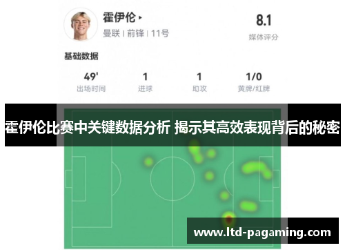霍伊伦比赛中关键数据分析 揭示其高效表现背后的秘密