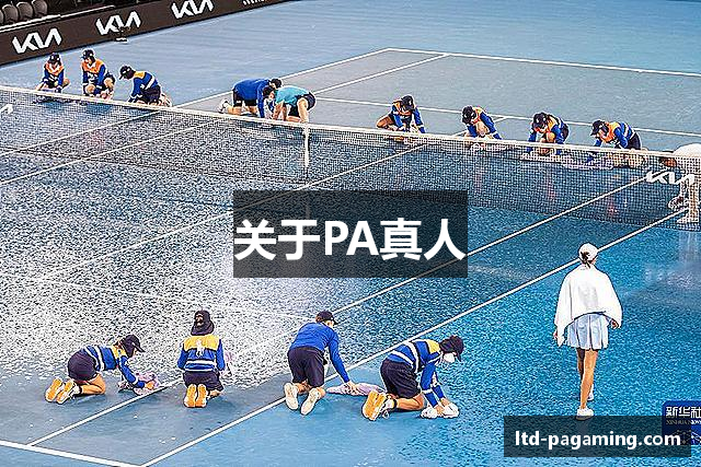 关于PA真人